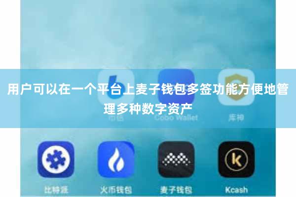 用户可以在一个平台上麦子钱包多签功能方便地管理多种数字资产